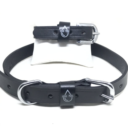 dog collar / friend bracelet