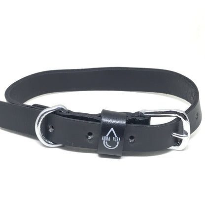 dog collar / friend bracelet